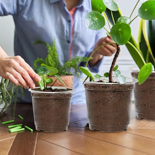 30 Pack 6/5/4Inch Clear Nursery Pots with Drainage Holes, Clear Plant Pot for Planting, Transparent Plastic Plant Pots,Durable Seed Starting Pot for Succulents (30 Count)