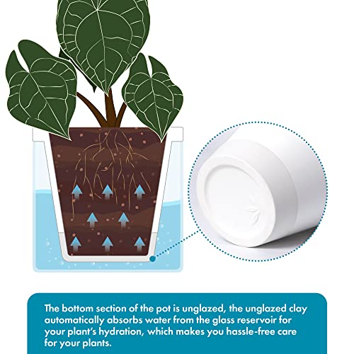 Self Watering White Terracotta Planter (2 Count)