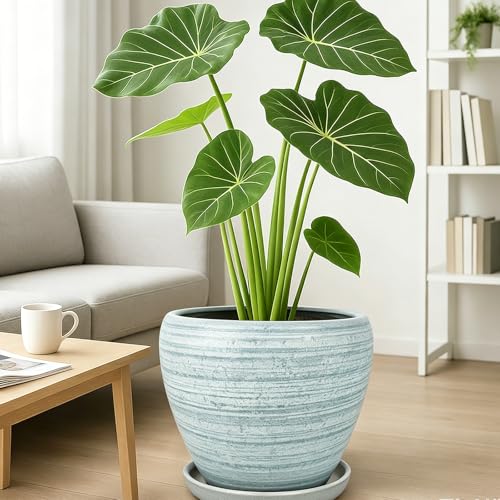 10 Inch Plant Pot (Brushed Green / 10 Inch)