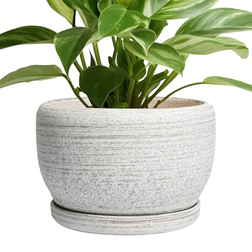 Ceramic Plant Pots