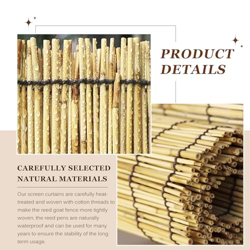Natural Reed Fencing Rolls (2.6x16.4ft / Nature)