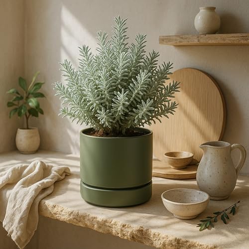 6 Inch Planter Pot with Drainage Hole & Saucer (6" (1 Pack) / Olive)