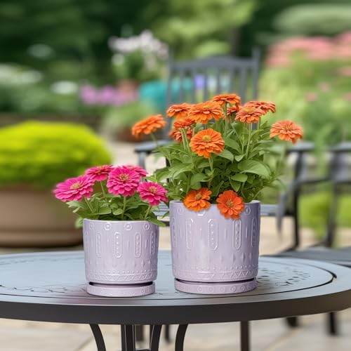 10 Inch Planter (10 Inch / Purple)
