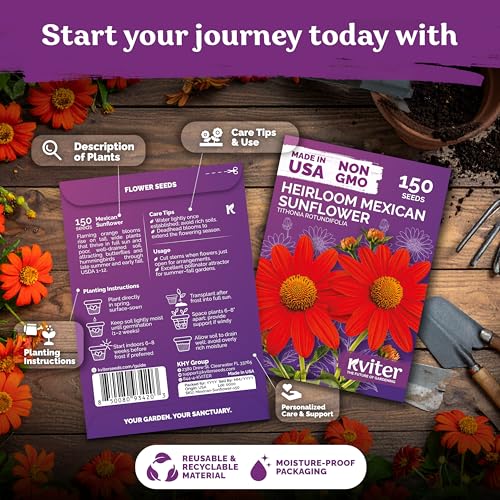 150 Mexican Sunflower Heirloom Flower Seeds