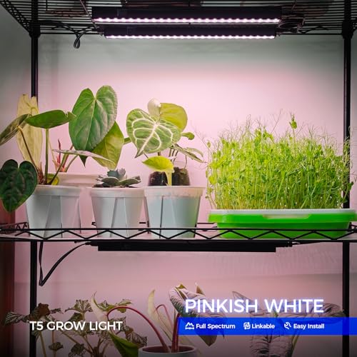T5 Grow Lights for Greenhouses (Pinkish White / 1FT-Black Cover)