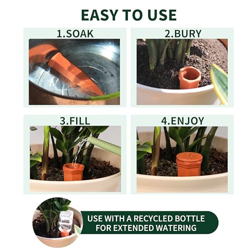 Large Terracotta Watering Spikes with Lids