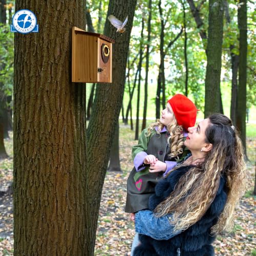 2 Pack Bird House (Medium-roast coffee color -- 2PK)
