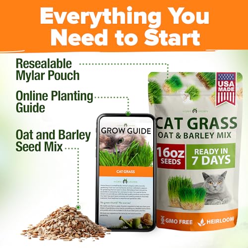Cat Grass Seeds 16 oz