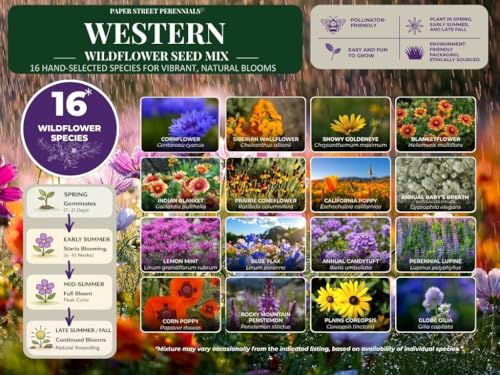 Utah Wildflower Seed Mix