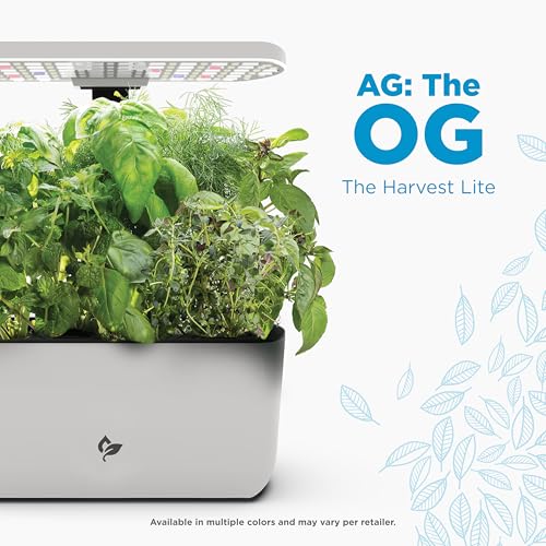 Harvest Lite Cream