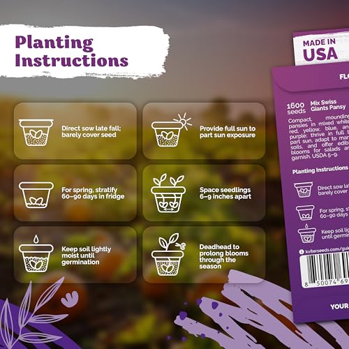 1 600 Swiss Giants Pansy Heirloom Flower Seeds