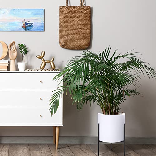 Cylinder Planter Pot with Metal Stand (Large 12 Inch / White)