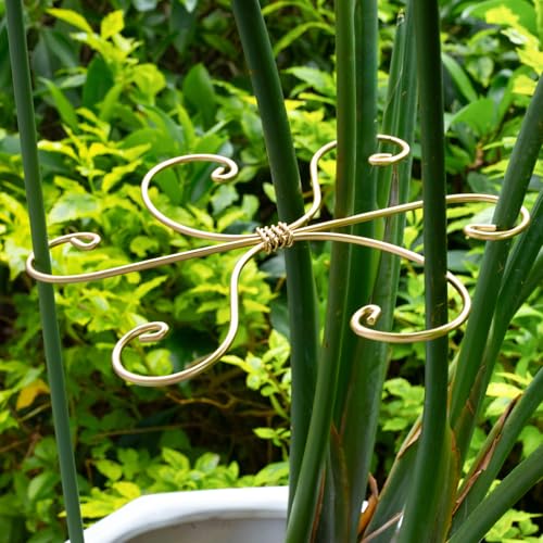 5PCS 7.5in Monstera Plant Stem Support (Gold / 7.5IN*7.5IN)