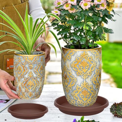 5 Pack Plant Saucer 6 Inch (6" (5 Pack) / Brown)