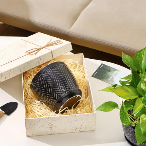 Sureasy 6.5 Inch Ceramic Plant Pots (Black / 6.5 inch)
