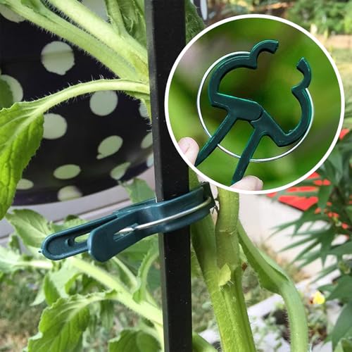 Plant Clips for Climbing Plants (green / 120 Big)