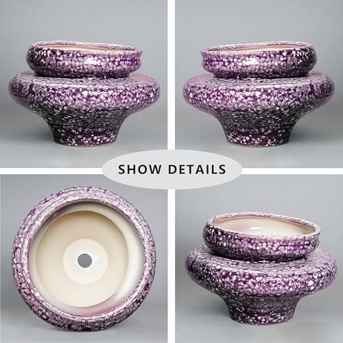 Ceramic Planters (Purple (11.2 X 7.8 In))