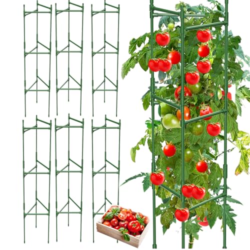 6 Pack Tomato Cage (6 pack)