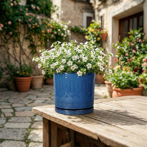 Ceramic Plant Saucer (5.6 Inch / Blue)