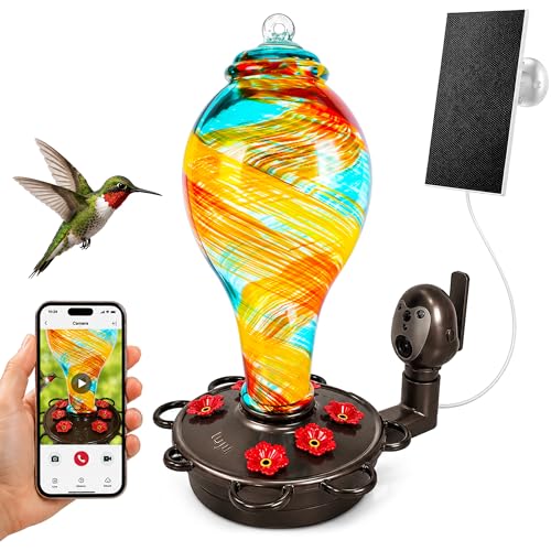 Smart Hummingbird Feeder with Camera for Outdoor Hanging (Ribbon / X-Large)