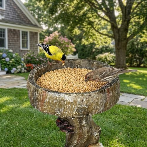 Bird Baths for Outdoor (24.8 inch H)