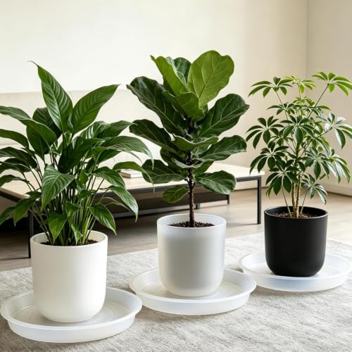 3 Pack Plant Saucer Heavy Large Planter Durable Thicker Plastic Plant Trays for Indoors and Outdoor (Transparent / 12 Inch)