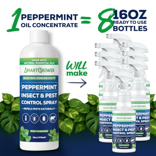 Peppermint Oil Spray for Rodents (16 Fl Oz (Pack of 1))