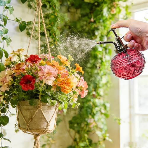 Plant Mister Amaranth Glass Decorative Vintage Spray Bottle 10 oz (B-Amaranth)