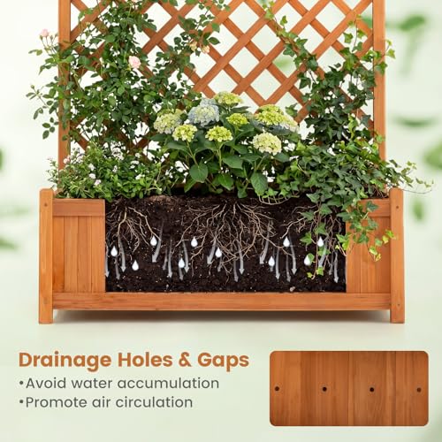71" Raised Garden Bed with Trellis & Garden Box (2 Count)