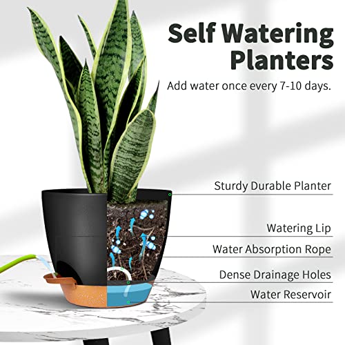 Plant Pots Set of 2 Pack 8 inch