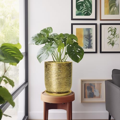 Ceramic Flower Pot for Indoor Plants