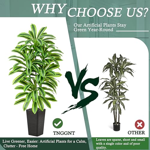 Artificial Dracaena Tree (Light Green – Black Pot / 5FT)