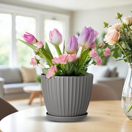 Gray 6 Inch Plant Pots with Drainage & Saucers 6 Pack (6 Count)