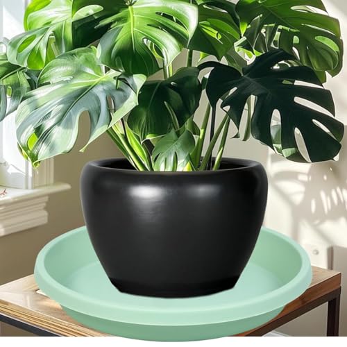 Plastic Plant Saucer 10 Inch Round Pack of 5 Plant Saucers Thickened Reusable Drip Trays for Flower Pots (10" (5 Pack) / Light_green)