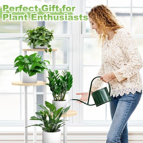 5 Tier Plant Stand Indoor Corner Tall Shelf for Multiple Plants (White+Oak / 5 Tier)