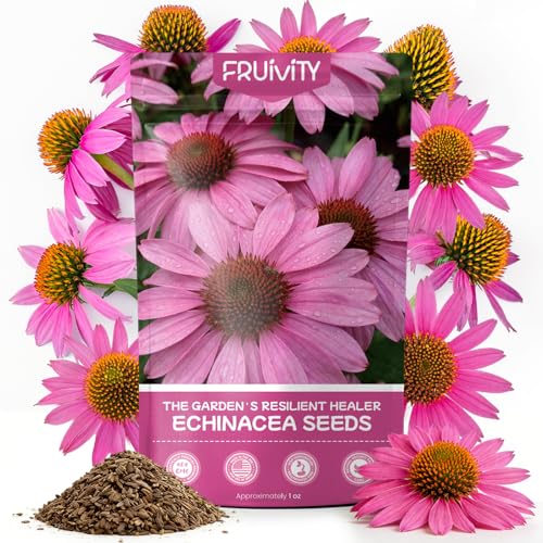 Coneflower Seeds 1 oz
