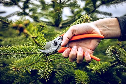 LÖWE 14.107 Garden Shears Metal (Inward curved handle)