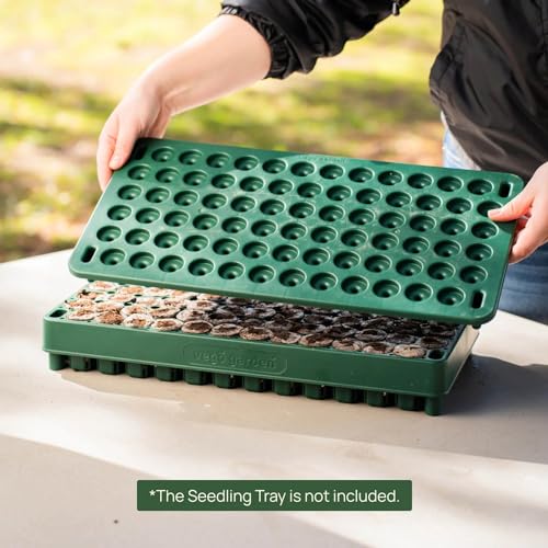 3-in-1 Plant & Pop Board Seedling Popper Tool, 10" x 20", Works Perfectly with Stackable Seedling Trays (1 Pack / Plant & Pop Board)