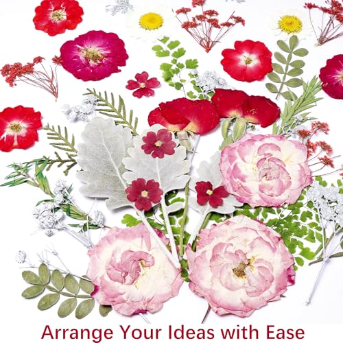 48 Pcs Mix Natural Dried Pressed Flowers for Cake Decorating (Rose)