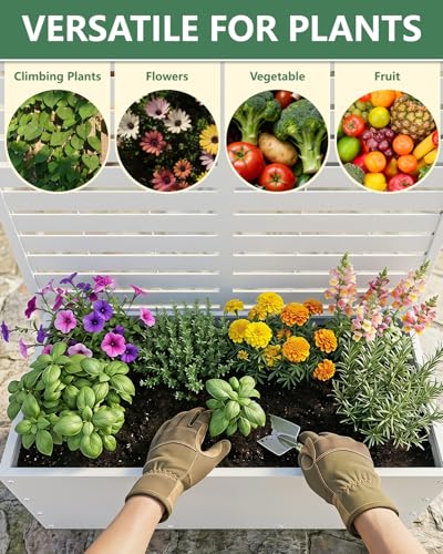 Metal Planter Box with Trellis
