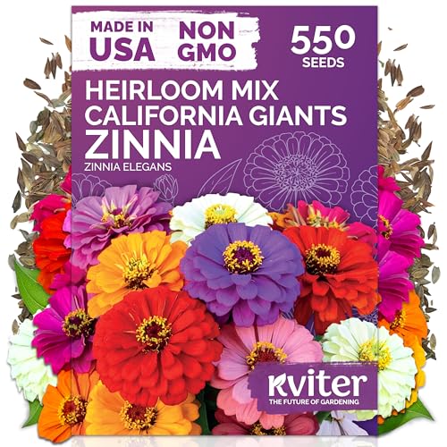 550 California Giant Zinnia Heirloom Flower Seeds
