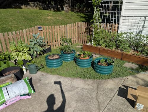 2 Pack Galvanized Raised Garden Bed (Green Petal-shaped / 4x4x1ft 2pcs)