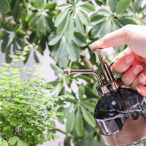 Plant Mister Spray Bottle Vintage Glass Fine Mist Spritzer 6.7OZ (D-Distant Hill)