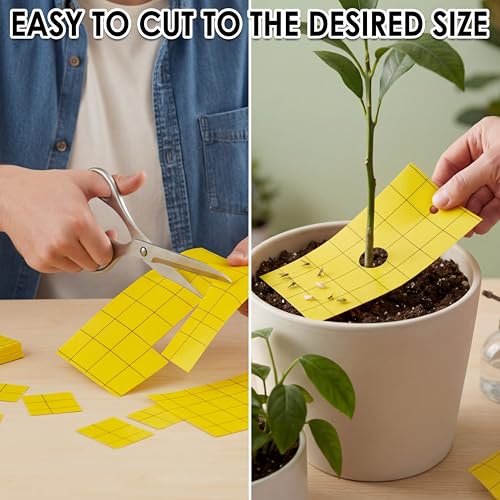 50 Pcs Yellow Sticky Trap for Gnats 3 x 5'' Dual Side (3'' X 5'' / Yellow)