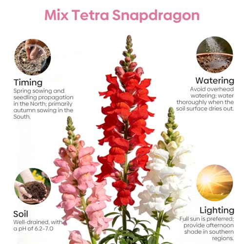Mix Snapdragon Seeds Tetra