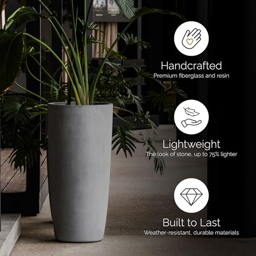 Lofto Tall Indoor
