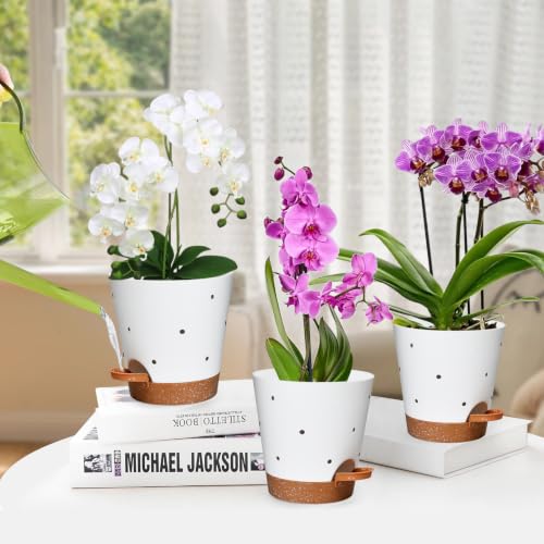 Orchid Pots with Holes (White+brown-5pack)