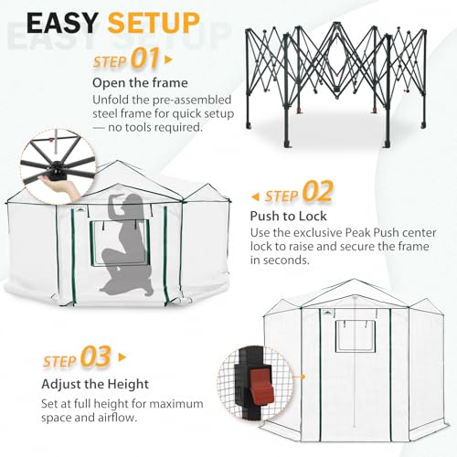 8.5x8.5 Easy Setup Pop Up Greenhouse (Clear/White / 8.5x8.5)