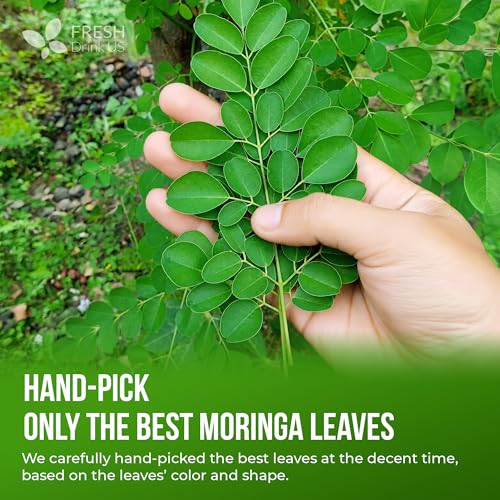 Premium 135 Moringa Tea Bags (135 Teabags)