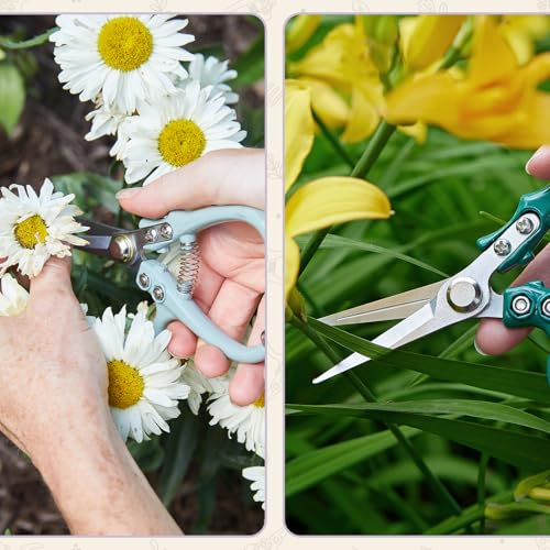 Pruning Shears (Lavender)